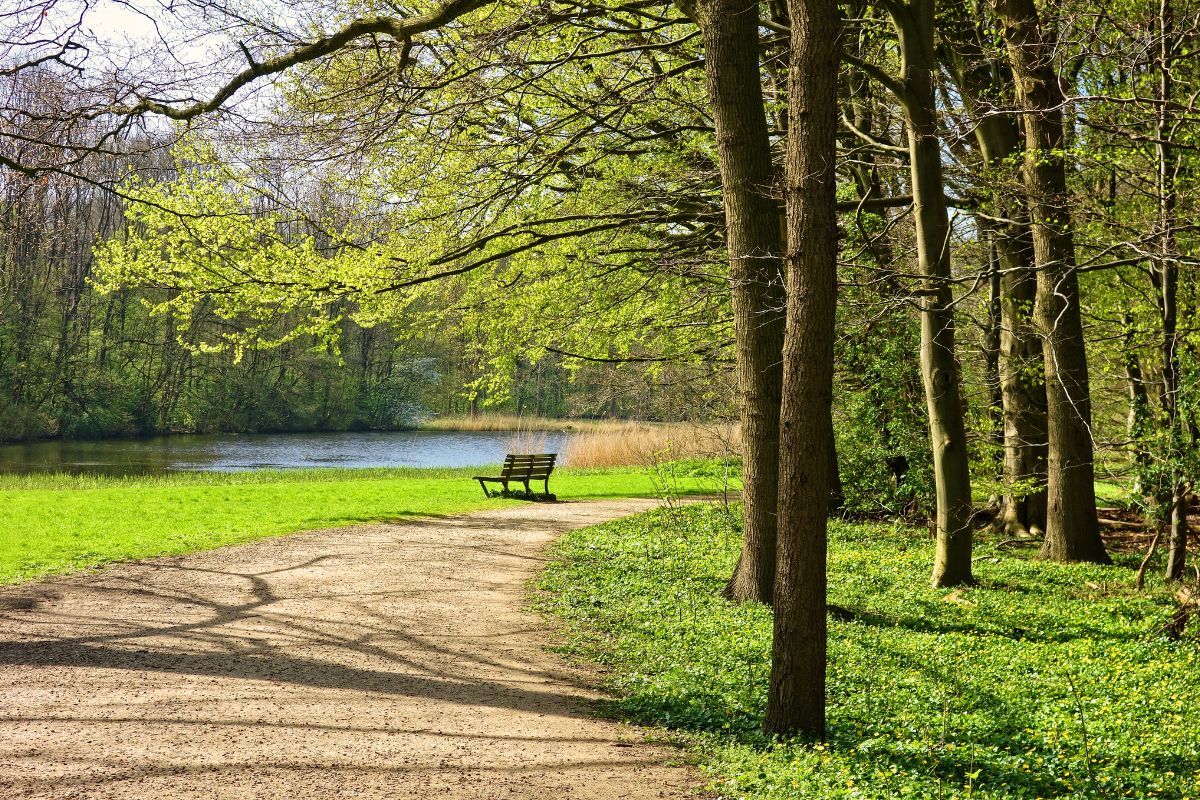 Odpoczynek nad wodą